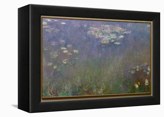 Water Lilies (Agapanthus), c.1915-26 (oil on canvas)-Claude Monet-Framed Premier Image Canvas