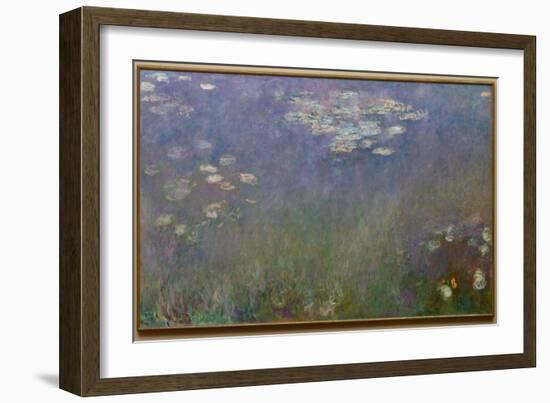 Water Lilies (Agapanthus), c.1915-26 (oil on canvas)-Claude Monet-Framed Giclee Print