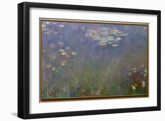 Water Lilies (Agapanthus), c.1915-26 (oil on canvas)-Claude Monet-Framed Giclee Print