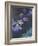 Water Lilies and Agapanthus-Claude Monet-Framed Giclee Print