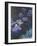 Water Lilies and Agapanthus-Claude Monet-Framed Giclee Print