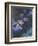 Water Lilies and Agapanthus-Claude Monet-Framed Giclee Print