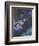 Water Lilies and Agapanthus-Claude Monet-Framed Giclee Print