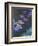 Water Lilies and Agapanthus-Claude Monet-Framed Giclee Print