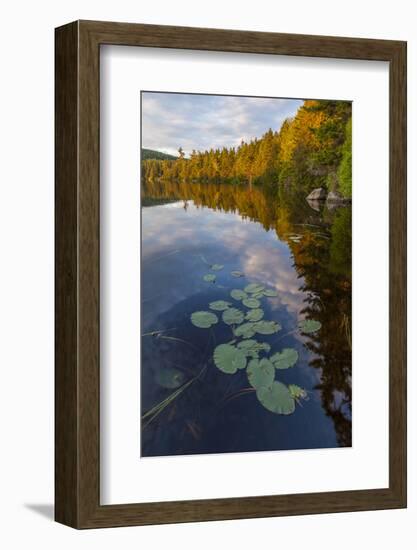 Water Lilies and Cloud Reflection on Lang Pond, Northern Forest, Maine-Jerry & Marcy Monkman-Framed Photographic Print