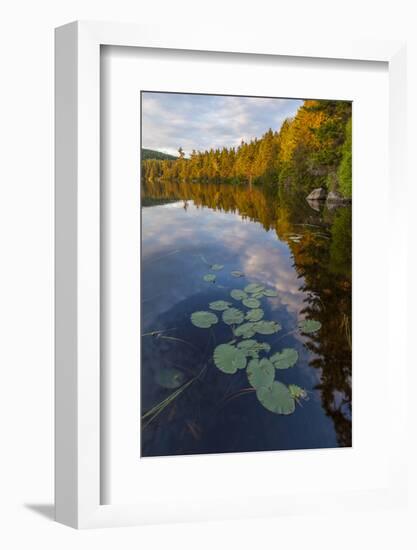 Water Lilies and Cloud Reflection on Lang Pond, Northern Forest, Maine-Jerry & Marcy Monkman-Framed Photographic Print