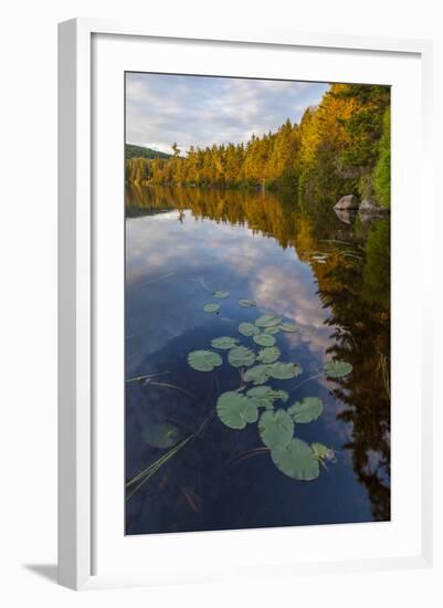 Water Lilies and Cloud Reflection on Lang Pond, Northern Forest, Maine-Jerry & Marcy Monkman-Framed Photographic Print