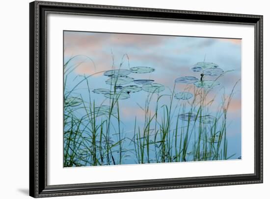 Water Lilies and Clouds, Lone Jack Pond, Northern Forest, Maine-Jerry & Marcy Monkman-Framed Photographic Print