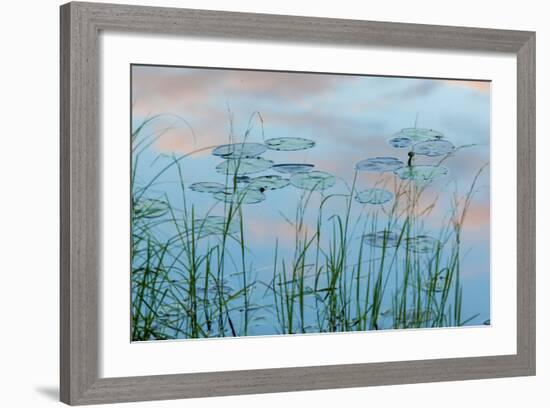 Water Lilies and Clouds, Lone Jack Pond, Northern Forest, Maine-Jerry & Marcy Monkman-Framed Photographic Print