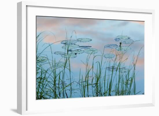 Water Lilies and Clouds, Lone Jack Pond, Northern Forest, Maine-Jerry & Marcy Monkman-Framed Photographic Print