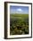 Water Lilies and Sawgrass in the Florida Everglades, Florida, USA-David R. Frazier-Framed Photographic Print