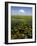 Water Lilies and Sawgrass in the Florida Everglades, Florida, USA-David R. Frazier-Framed Photographic Print