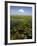 Water Lilies and Sawgrass in the Florida Everglades, Florida, USA-David R. Frazier-Framed Photographic Print