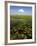 Water Lilies and Sawgrass in the Florida Everglades, Florida, USA-David R. Frazier-Framed Photographic Print