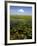 Water Lilies and Sawgrass in the Florida Everglades, Florida, USA-David R. Frazier-Framed Photographic Print