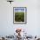 Water Lilies and Sawgrass in the Florida Everglades, Florida, USA-David R. Frazier-Framed Photographic Print displayed on a wall