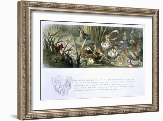 Water-Lilies and Water Fairies-Richard Doyle-Framed Giclee Print