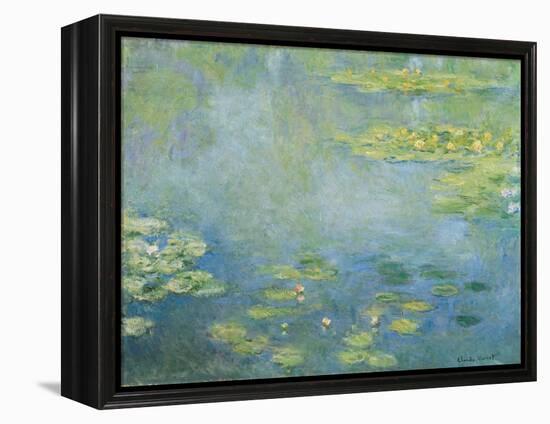 Water Lilies, c.1906 (oil on canvas)-Claude Monet-Framed Premier Image Canvas