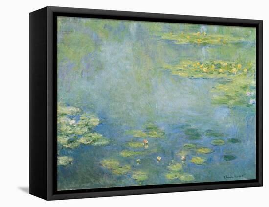 Water Lilies, c.1906 (oil on canvas)-Claude Monet-Framed Premier Image Canvas