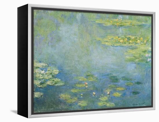 Water Lilies, c.1906 (oil on canvas)-Claude Monet-Framed Premier Image Canvas