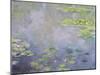 Water Lilies, C1906-Claude Monet-Mounted Giclee Print