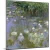 Water Lilies, C1915-Claude Monet-Mounted Giclee Print