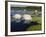 Water Lilies, Caddo Lake, Texas, USA-Larry Ditto-Framed Photographic Print