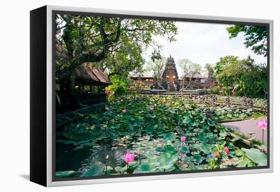 Water Lilies in a Pond at the Pura Taman Saraswati Temple, Ubud, Bali, Indonesia-null-Framed Stretched Canvas