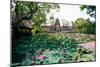 Water Lilies in a Pond at the Pura Taman Saraswati Temple, Ubud, Bali, Indonesia-null-Mounted Photographic Print