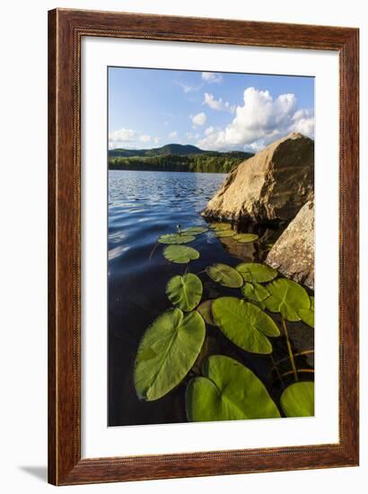Water Lilies in Lang Pond in Maine's Northern Forest-Jerry & Marcy Monkman-Framed Photographic Print