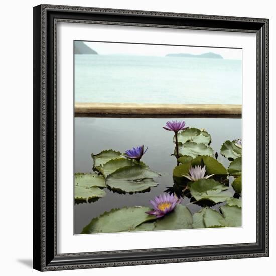 Water lilies in pond by ocean-null-Framed Photographic Print