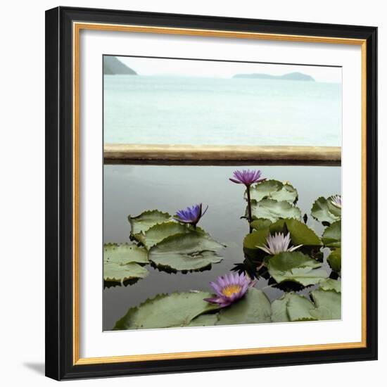 Water lilies in pond by ocean-null-Framed Photographic Print