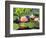 Water Lilies in Pool at Darioush Winery, Napa Valley, California, USA-Julie Eggers-Framed Photographic Print