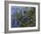 Water Lilies (Nympheas), 1918/1921-Claude Monet-Framed Giclee Print