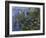 Water Lilies (Nympheas), 1918/1921-Claude Monet-Framed Giclee Print