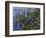 Water Lilies (Nympheas), 1918/1921-Claude Monet-Framed Giclee Print