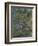 Water Lilies, Nympheas-Claude Monet-Framed Giclee Print