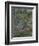 Water Lilies, Nympheas-Claude Monet-Framed Giclee Print