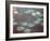 Water Lilies (Or Nympheas)-Claude Monet-Framed Giclee Print