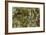 Water Lilies, Reflected Willow, circa 1920-Claude Monet-Framed Giclee Print