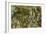 Water Lilies, Reflected Willow, circa 1920-Claude Monet-Framed Giclee Print