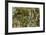 Water Lilies, Reflected Willow, circa 1920-Claude Monet-Framed Giclee Print