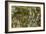 Water Lilies, Reflected Willow, circa 1920-Claude Monet-Framed Giclee Print