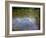 Water Lilies, the Cloud, 1903 (Oil on Canvas)-Claude Monet-Framed Giclee Print