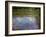 Water Lilies, the Cloud, 1903 (Oil on Canvas)-Claude Monet-Framed Giclee Print