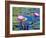 Water Lilies with Blooms, Caribbean-Greg Johnston-Framed Photographic Print