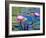 Water Lilies with Blooms, Caribbean-Greg Johnston-Framed Photographic Print