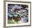 Water Lilies-Claude Monet-Framed Art Print