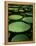 Water Lilies-Vaughan Fleming-Framed Premier Image Canvas