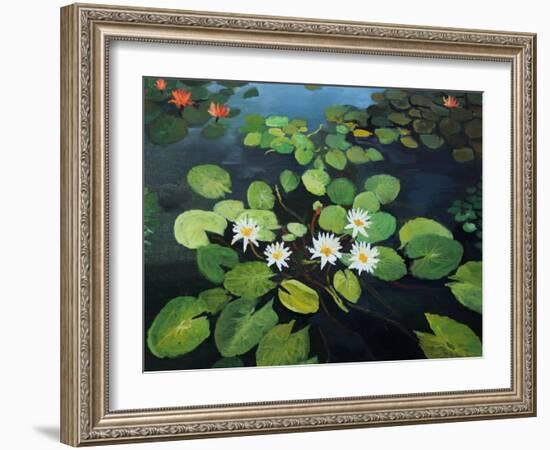 Water Lilies-kirilstanchev-Framed Art Print